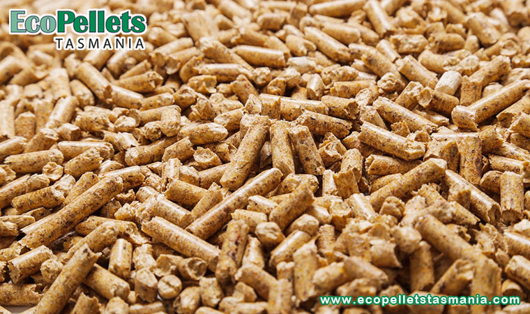 Wood Pellet Fuel In Green Living