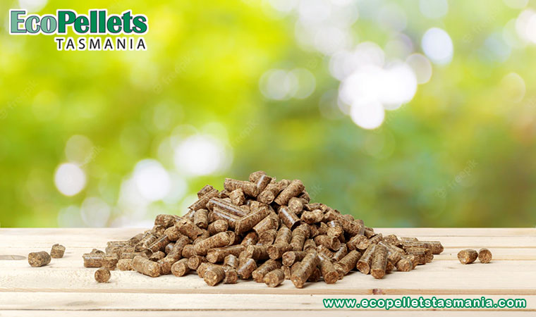 Best Wood Pellets For BBQ And Other Needs